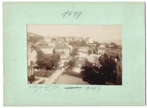 Fotografie Brück & Sohn, Meissen, Ansicht Sassnitz a. Rügen, Blick auf den Ort mit Wohnhäusern und Geschäften