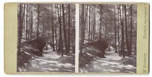 Stereo-Fotografie W. Herrmann, Eisenach, unbekannter Ort, Wanderer auf einem Waldweg