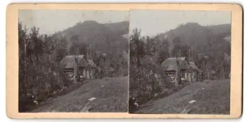 Stereo-Fotografie unbekannter Ort, Herr auf einer Wiese vor Almbauernhof