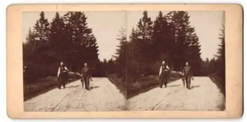 Stereo-Fotografie unbekannter Ort, Herren wandern an einer unbefestigten Strasse entlang