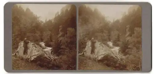 Stereo-Fotografie unbekannter Ort, Wander nebst Felsformation neben einem Gebirgsbach