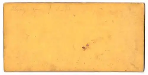 Stereo-Fotografie unbekannter Ort, Weg in einem Schlosspark mit Orangenbäumen in Kübeln