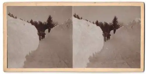 5 Stereo-Fotografien P. Straub, Furtwangen, Ansicht Gütenbach, Strasse zum Ort durch den Schnee gefräst 1907