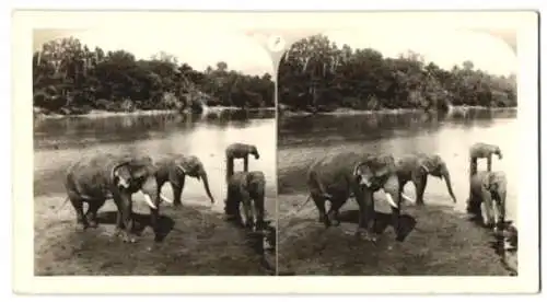 9 Stereo-Fotografien Mond, Gyramiden von Giseh, Erntehelfer mt Bananenstaude, Elefanten am Fluss, Wasserfall u.a.