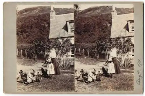 12 Stereo-Fotografien unbekannter Fotograf, Ansicht Brig O' Turk / Schottland, Bauernhof, Bäuerin & Hühner, Ortsansicht