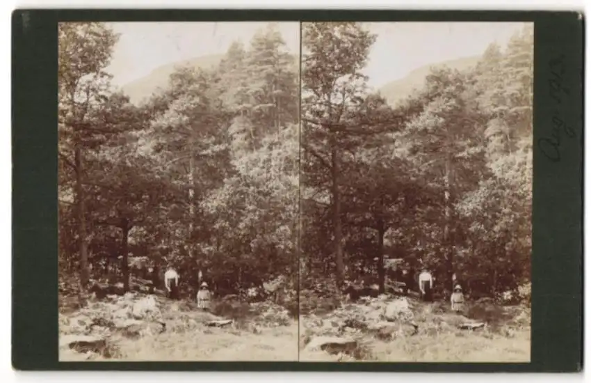 12 Stereo-Fotografien unbekannter Fotograf, Ansicht Brig O' Turk / Schottland, Bauernhof, Bäuerin & Hühner, Ortsansicht 10