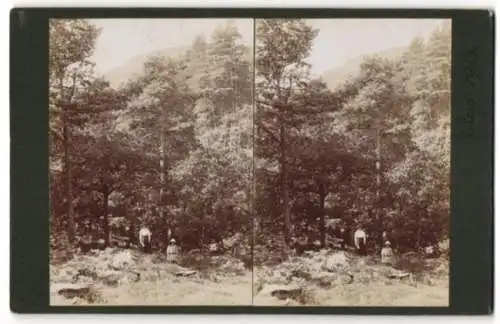 12 Stereo-Fotografien unbekannter Fotograf, Ansicht Brig O' Turk / Schottland, Bauernhof, Bäuerin & Hühner, Ortsansicht