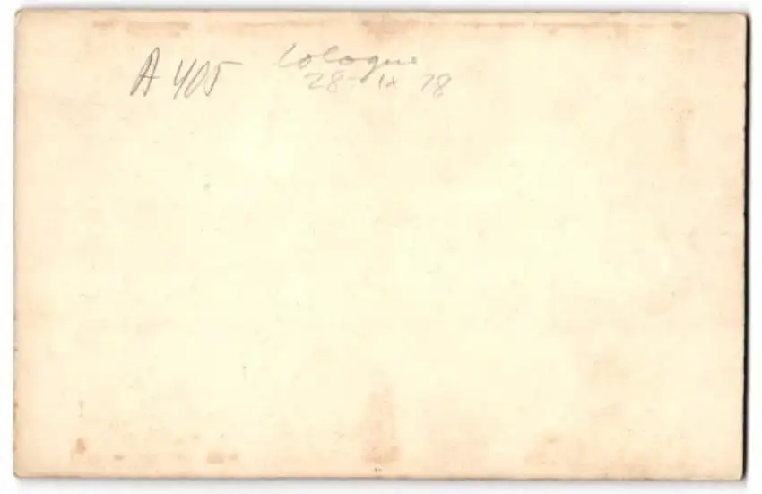 12 Stereo-Fotografien unbekannter Fotograf, Ansicht Brig O' Turk / Schottland, Bauernhof, Bäuerin & Hühner, Ortsansicht 14