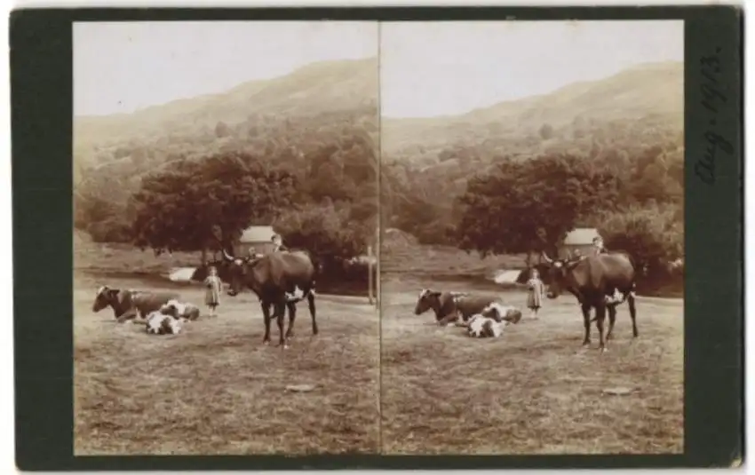 12 Stereo-Fotografien unbekannter Fotograf, Ansicht Brig O' Turk / Schottland, Bauernhof, Bäuerin & Hühner, Ortsansicht 6