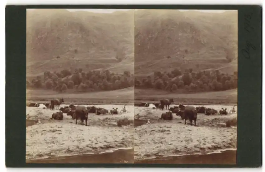 12 Stereo-Fotografien unbekannter Fotograf, Ansicht Brig O' Turk / Schottland, Bauernhof, Bäuerin & Hühner, Ortsansicht 7