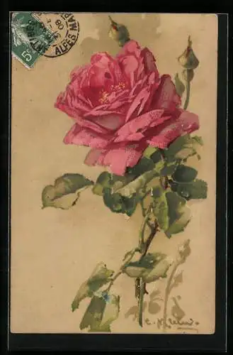 Künstler-AK Catharina Klein: Rote Rose mit Knospen und Blättern