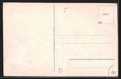 Künstler-AK Schweinfurt a. Main, Teilansicht