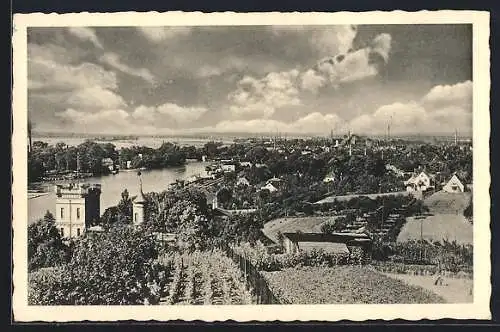 AK Schweinfurt a. Main, Blick von der Peterstirn auf den Ort