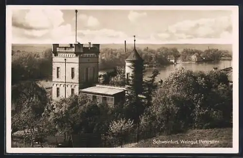 AK Schweinfurt / Main, Blick auf das Weingut Peterstirn