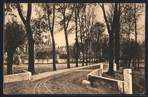 AK Braunschweig, Allee vor Riddagshausen mit Blick auf Kirchturm