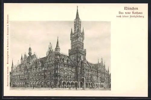 AK München-Au, Das neue Rathaus