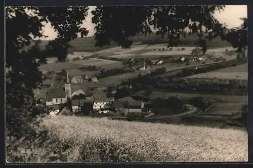 AK Güttersbach /Odw., Ortsansicht vom Berg aus