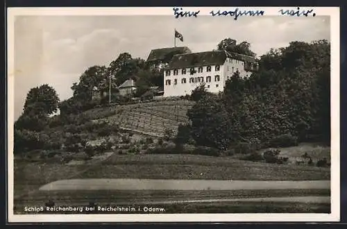 AK Reichelsheim i. Odenw., Das Schloss Reichenberg unter der flagge