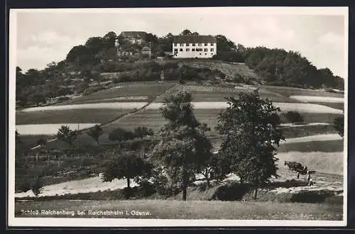 AK Reichelsheim i. Odenwald, Blick zum Schloss Reichenberg