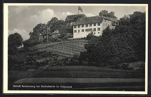 AK Reichelsheim / Odenwald, Schloss Reichenberg