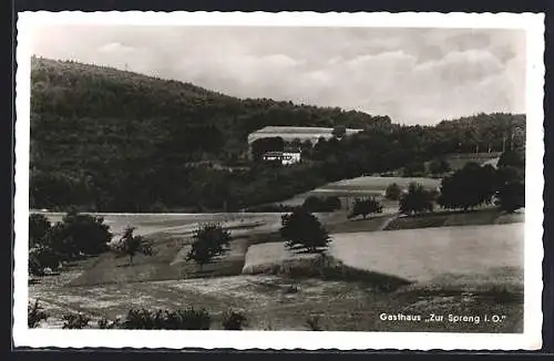 AK Michelstadt /Reinheim, Gasthaus und Pension Zur Spreng im Odenwald v. W. Schwinn