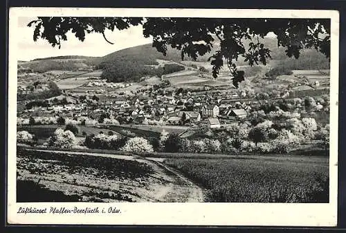 AK Pfaffen-Beerfurth i. Odw., Gesamtansicht vom Berg aus