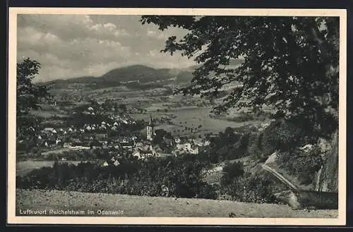 AK Reichelsheim i. Odenwald, Gesamtansicht vom Berg aus