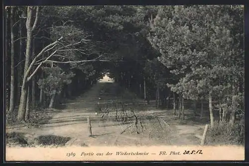 AK Ostseebad Brunshaupten, Partie am Durchblick