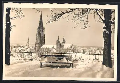 AK Freiburg i. Br., Münster im Schnee