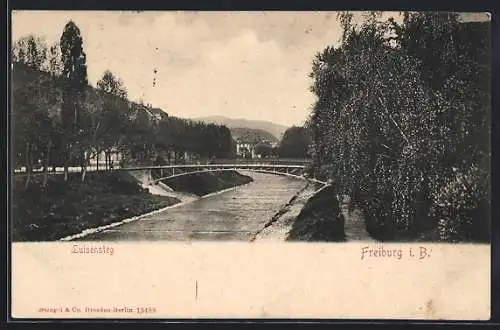 AK Freiburg i. B., Luisensteg mit Brücke