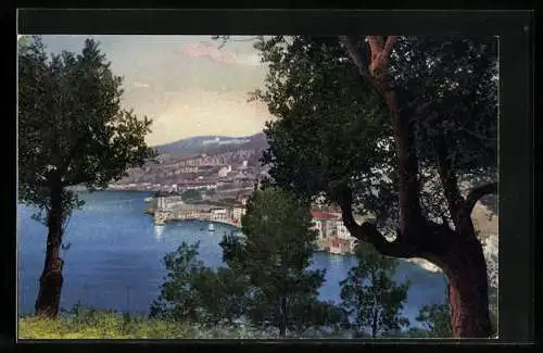 Künstler-AK Photochromie Nr. 4869: Blick auf See und Ortschaft