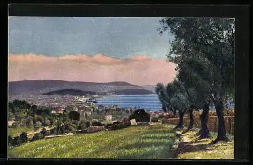 Künstler-AK Photochromie Nr. 4852: Blick auf Stadt am See