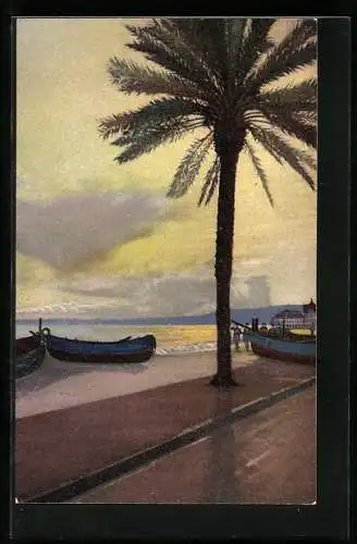 Künstler-AK Photochromie Nr.4860: Ruderboote am Strand, Palme