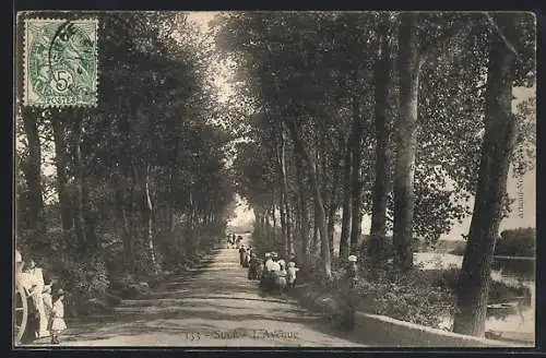 AK Sucé, L`Avenue avec des promeneurs sous les arbres