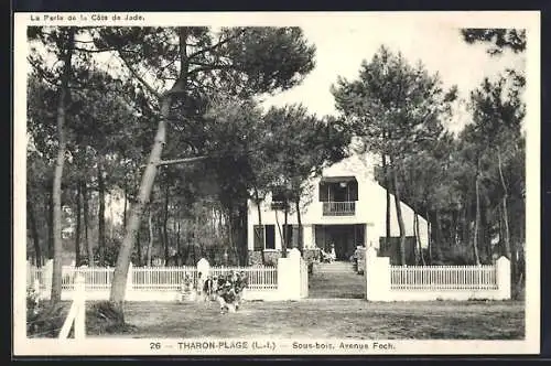 AK Tharon-Plage, Sous-bois, Avenue Foch