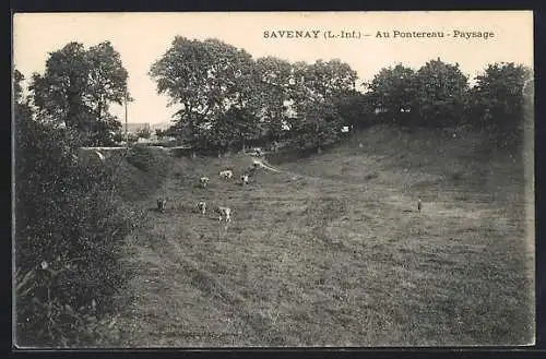 AK Savenay, Au Pontereau, Paysage avec des vaches et des arbres