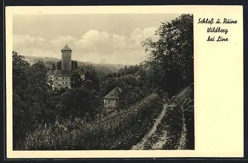 AK Kirchschlag bei Linz, Schloss und Ruine Wildberg