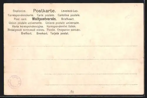 AK Gmunden, Panoramaansicht mit Höllengebirge