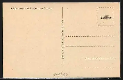 AK Weissenbach am Attersee, Salzkammergut, Uferpartie mit Hotel