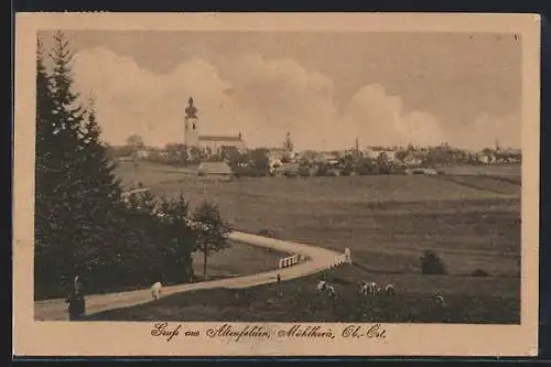 AK Altenfelden /Mühlkreis, Weg zur Kirche