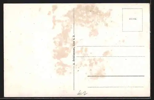 AK Aschach a. d. Donau, Uferpartie mit Dampfer Schönbrunn