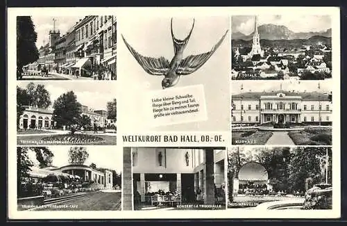 AK Bad Hall /Ob.-Oe., Trinkhalle und Terrassen-Café, Hauptplatz, Kurhaus, Musikpavillon, Gesamtansicht