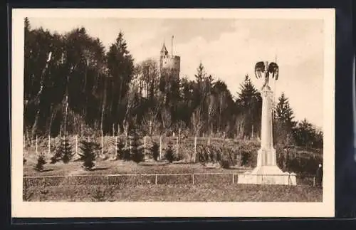 AK Linz a. d. Donau, Flieger-Denkmal am Freinberg