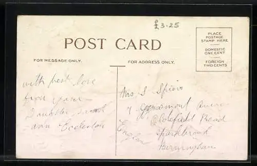 AK Thanksgiving Greetings, Truthahn und Köchin mit Truthahn-Braten