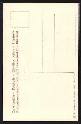 AK Meiringen, Blick auf den Reichenbachfall