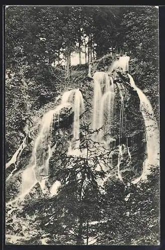 AK Bad Harzburg, Der Radau-Wasserfall im Wald