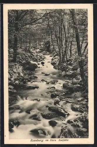 AK Ilsenburg im Harz, Die Ilsefälle im Wald