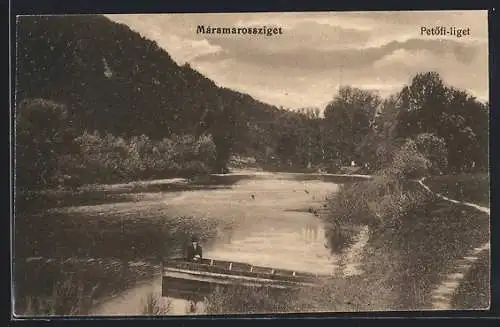 AK Máramarossziget, Petöfi-liget