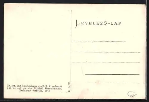 AK Negoi, Blick nach Westen auf die Karpathen