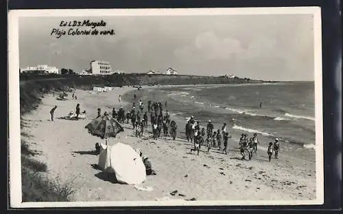 AK Mangalia, Plaja Colonlei de vara